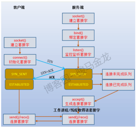 image-20210126191343421.png