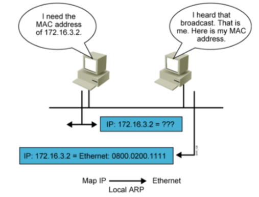 image-20210126191507252.png