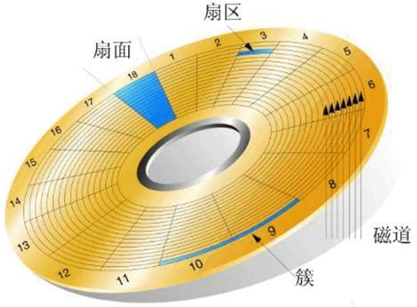 image-20210216020526867.png