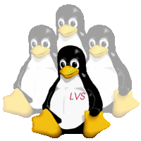 LVS logo
