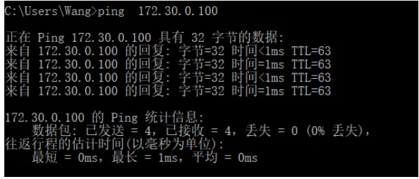 image-20210219195624959.webp