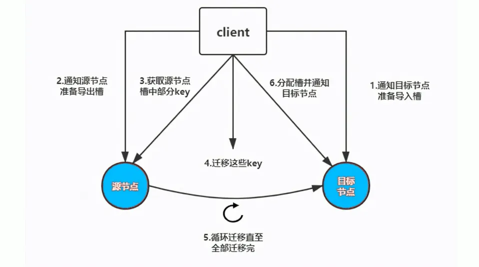 img_20250819_180312.webp