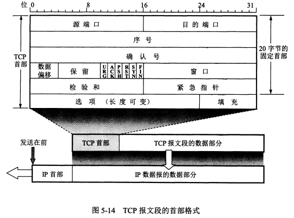 m55.webp