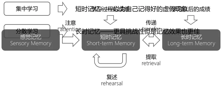 img_20240213_022544.webp